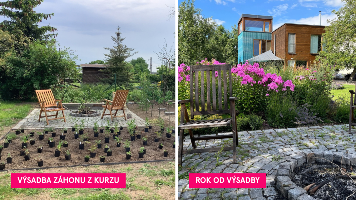 zijte zahony pred po 2